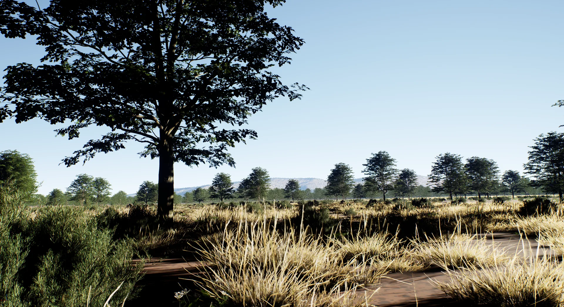 Ground-level view of a generated planet surface with biome foliage